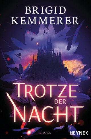 Brigid Kemmerer: Trotze der Nacht