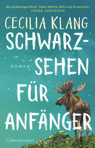 Cecilia Klang: Schwarzsehen für Anfänger