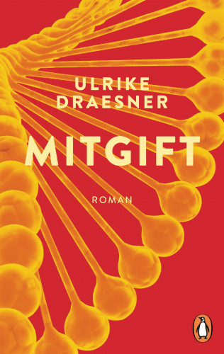 Ulrike Draesner: Mitgift