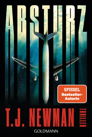 T. J. Newman: Absturz