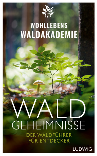Wohllebens Waldakademie: Waldgeheimnisse