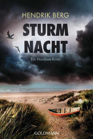 Hendrik Berg: Sturmnacht