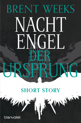 Brent Weeks: Nachtengel - Der Ursprung