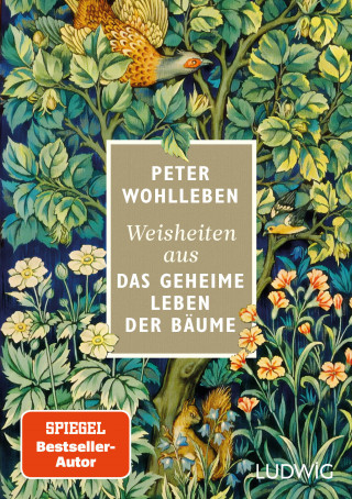 Peter Wohlleben: Weisheiten aus »Das geheime Leben der Bäume«