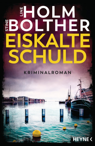 Line Holm, Stine Bolther: Eiskalte Schuld