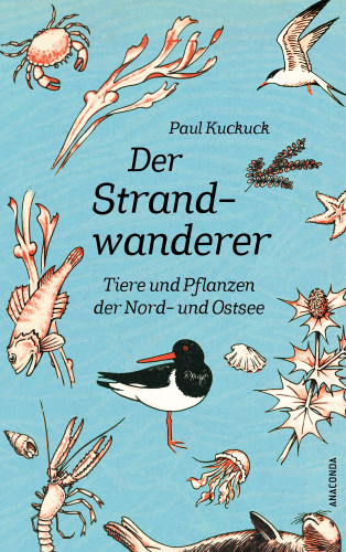 Paul Kuckuck: Der Strandwanderer. Tiere und Pflanzen der Nord- und Ostsee