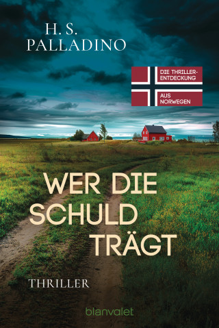 H.S. Palladino: Wer die Schuld trägt