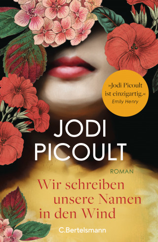 Jodi Picoult: Wir schreiben unsere Namen in den Wind