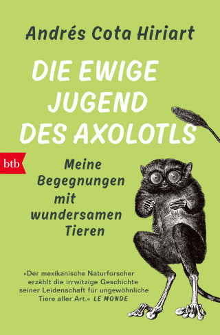 Andrés Cota Hiriart: Die ewige Jugend des Axolotls
