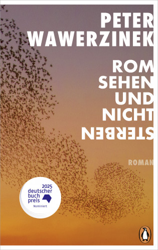 Peter Wawerzinek: Rom sehen und nicht sterben