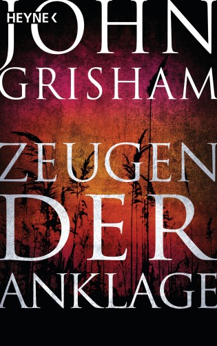 John Grisham: Zeugen der Anklage