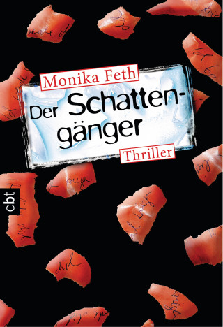 Monika Feth: Der Schattengänger