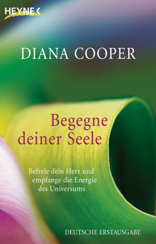Diana Cooper: Begegne deiner Seele