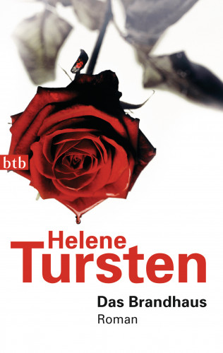 Helene Tursten: Das Brandhaus