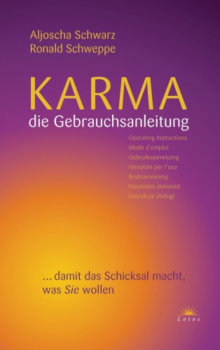 Aljoscha Long, Ronald Schweppe: Karma - die Gebrauchsanleitung