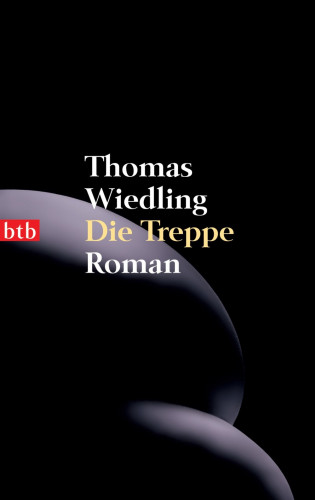 Thomas Wiedling: Die Treppe
