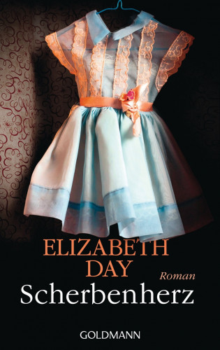 Elizabeth Day: Scherbenherz