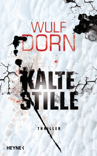 Wulf Dorn: Kalte Stille