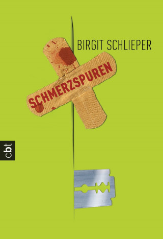 Birgit Schlieper: Schmerzspuren