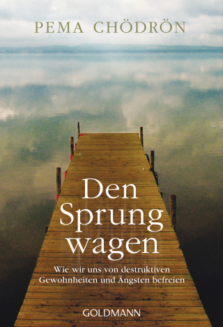 Pema Chödrön: Den Sprung wagen