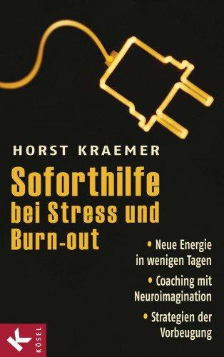 Horst Kraemer: Soforthilfe bei Stress und Burn-out
