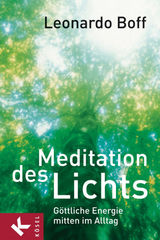 Leonardo Boff: Meditation des Lichts