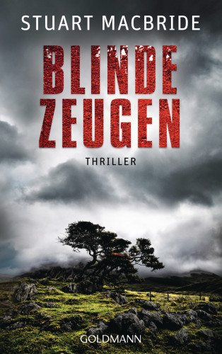 Stuart MacBride: Blinde Zeugen