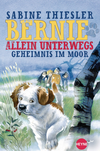 Sabine Thiesler: Bernie allein unterwegs - Geheimnis im Moor