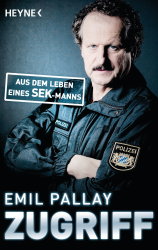 Emil Pallay: Zugriff