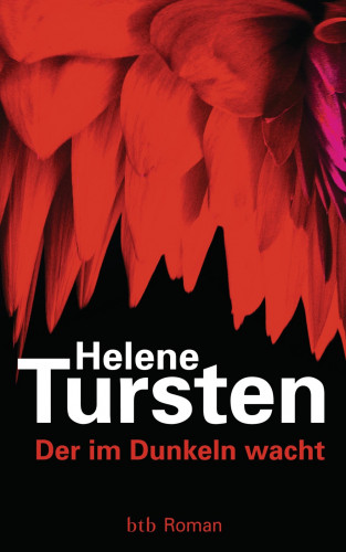 Helene Tursten: Der im Dunkeln wacht