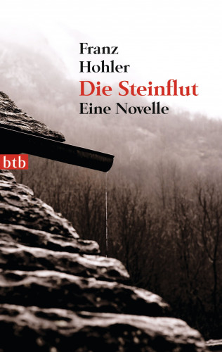 Franz Hohler: Die Steinflut