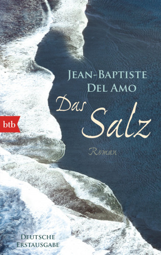 Jean-Baptiste Del Amo: Das Salz