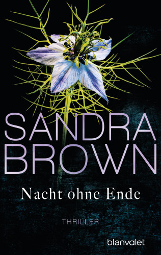 Sandra Brown: Nacht ohne Ende