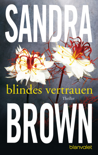 Sandra Brown: Blindes Vertrauen