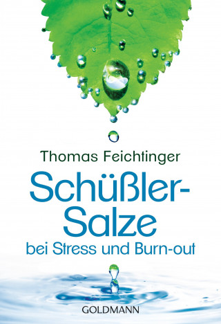 Thomas Feichtinger: Schüßler-Salze bei Stress und Burn-out