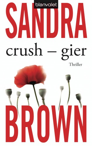Sandra Brown: Crush - Gier