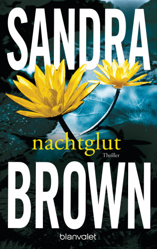 Sandra Brown: Nachtglut