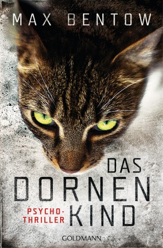 Max Bentow: Das Dornenkind