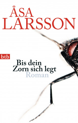 Åsa Larsson: Bis dein Zorn sich legt