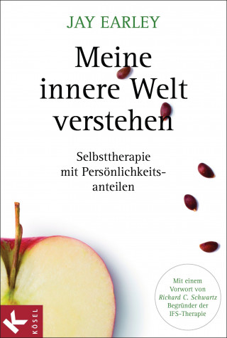 Jay Earley: Meine innere Welt verstehen