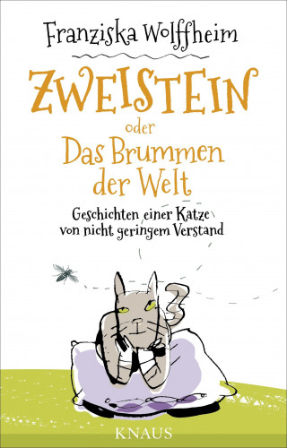 Franziska Wolffheim: Zweistein oder Das Brummen der Welt