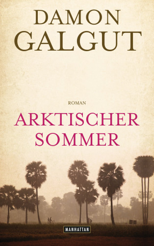 Damon Galgut: Arktischer Sommer