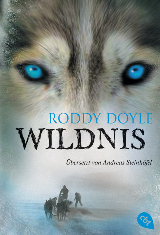 Roddy Doyle: Wildnis