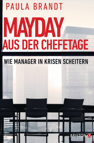 Paula Brandt: Mayday aus der Chefetage