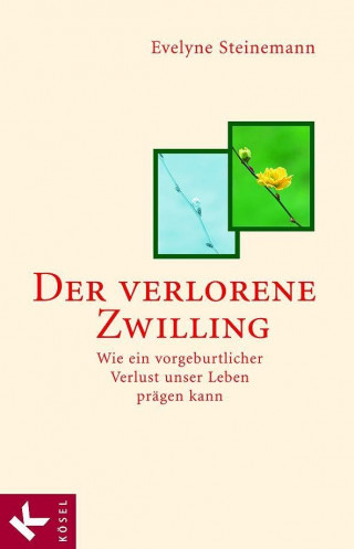 Evelyne Steinemann: Der verlorene Zwilling