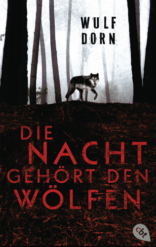 Wulf Dorn: Die Nacht gehört den Wölfen