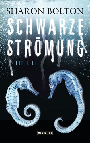 Sharon Bolton: Schwarze Strömung - Lacey Flint 4