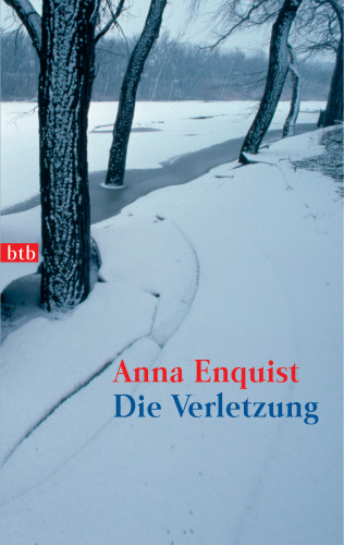 Anna Enquist: Die Verletzung