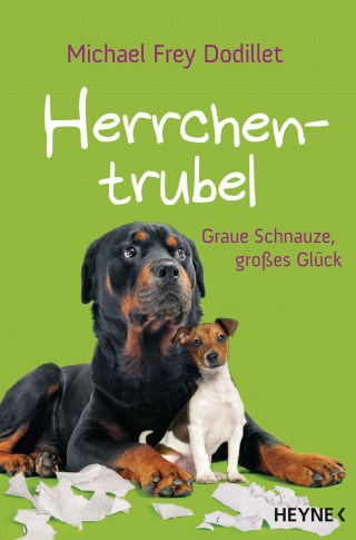 Michael Frey Dodillet: Herrchentrubel