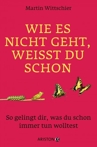 Martin Wittschier: Wie es nicht geht, weißt du schon